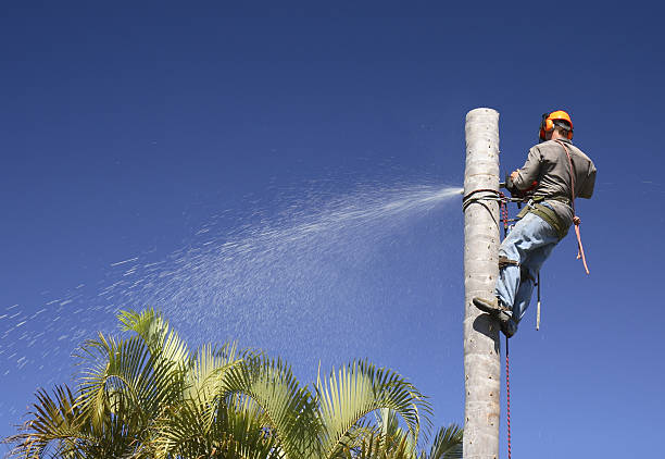 Best Commercial Tree Services  in Golden Triangle, NJ