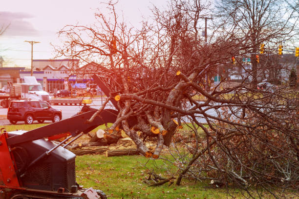 Best Seasonal Cleanup (Spring/Fall)  in Golden Triangle, NJ